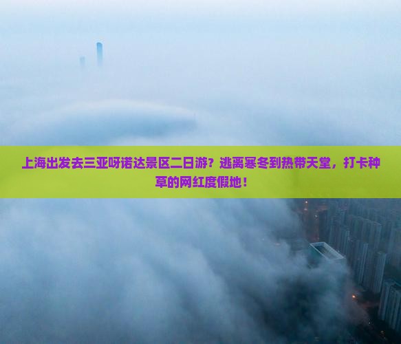 上海出发三亚呀诺达景区二日游 上海出发三亚呀诺达景区二日游