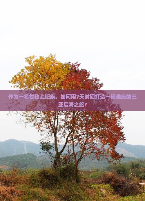 甘孜去三亚后海七日游
