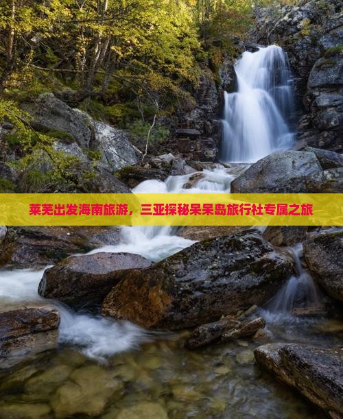 莱芜前往三亚呆呆岛旅行社