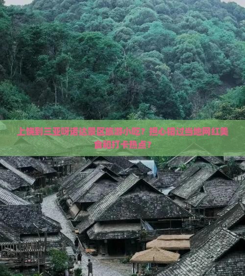 上饶出发三亚呀诺达景区旅游小吃