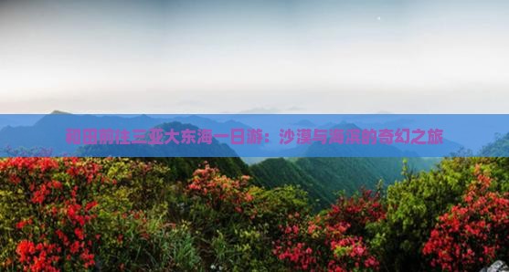 和田前往三亚大东海一日游