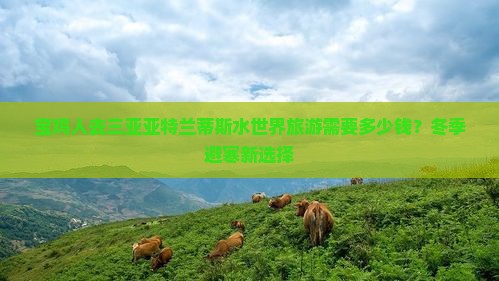宝鸡前往三亚亚特兰蒂斯水世界旅游