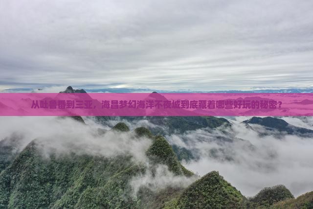 吐鲁番去三亚海昌梦幻海洋不夜城哪里玩