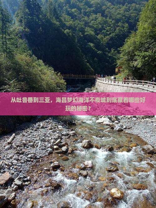 吐鲁番去三亚海昌梦幻海洋不夜城哪里玩