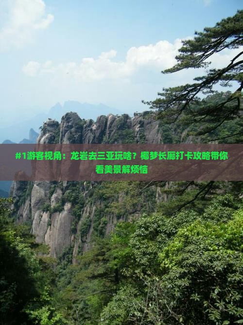 龙岩前往三亚椰梦长廊旅游打卡点