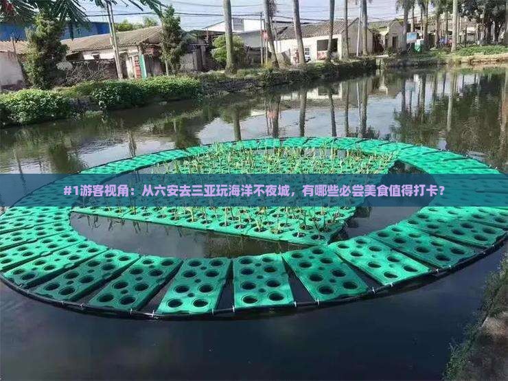 六安出发三亚海昌梦幻海洋不夜城旅游小吃