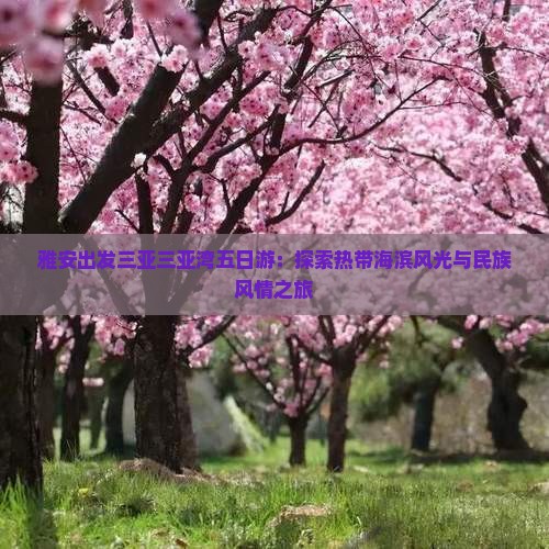 雅安出发三亚三亚湾五日游