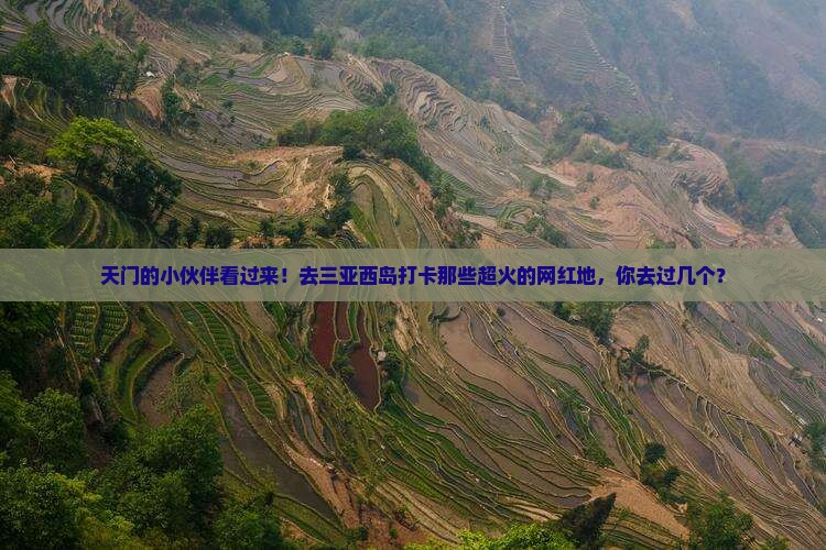 天门去三亚西岛旅游网红地点
