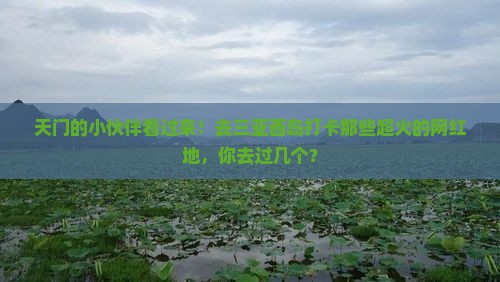 天门去三亚西岛旅游网红地点