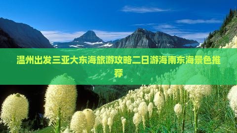 温州前往三亚大东海二日游
