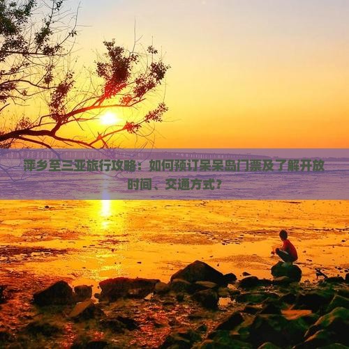 萍乡前往三亚呆呆岛门票
