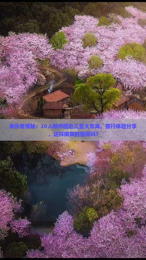 郴州前往三亚大东海大型旅游团