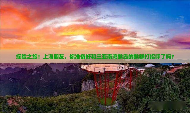 上海去三亚南湾猴岛自由团