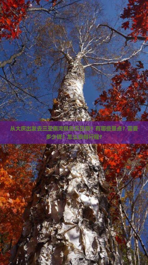 大庆出发三亚南湾猴岛五日游