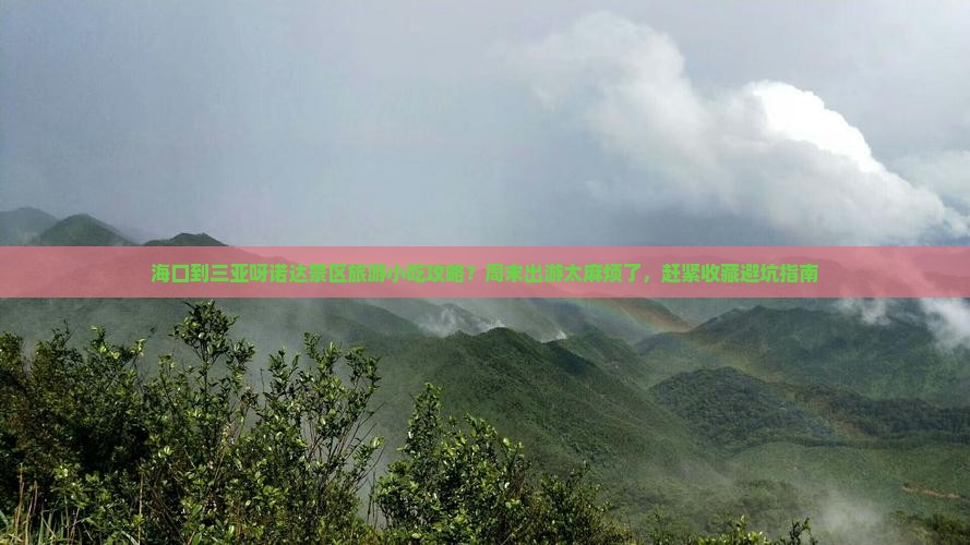海口出发三亚呀诺达景区旅游小吃 海口出发三亚呀诺达景区旅游小吃