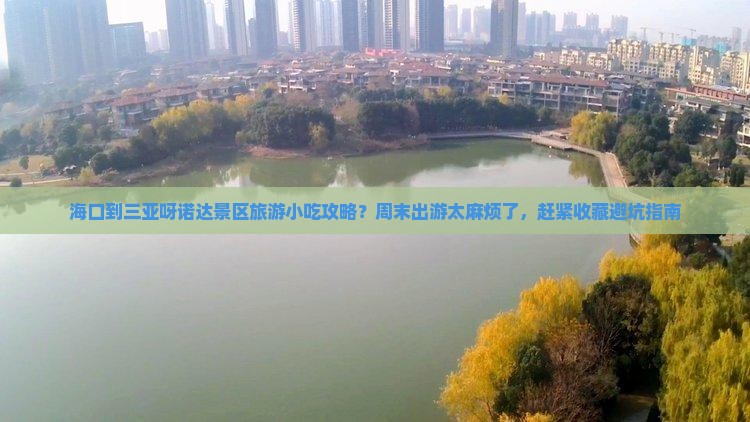 海口出发三亚呀诺达景区旅游小吃 海口出发三亚呀诺达景区旅游小吃