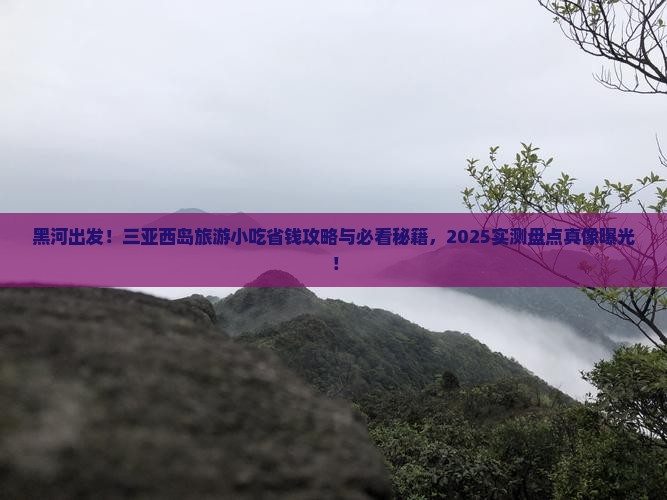 黑河去三亚西岛旅游小吃