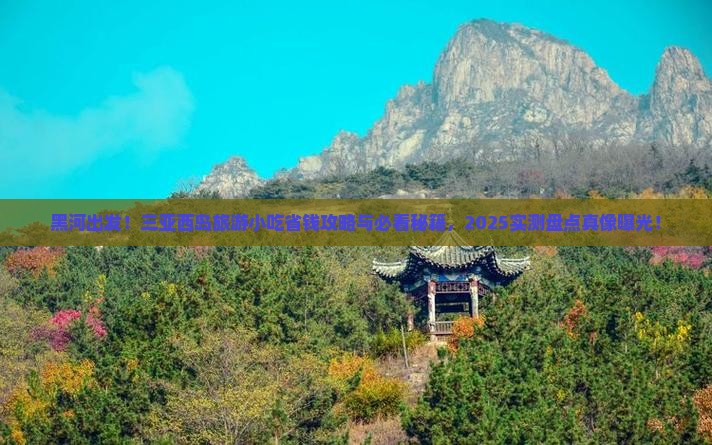 黑河去三亚西岛旅游小吃