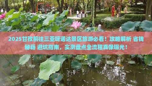 甘孜前往三亚呀诺达景区旅游