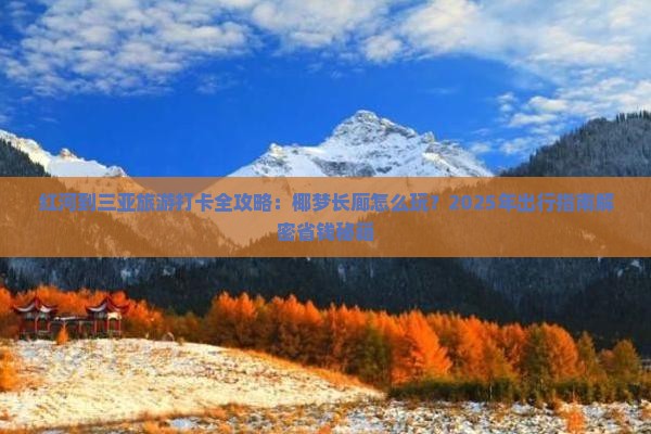 红河出发三亚椰梦长廊旅游打卡点