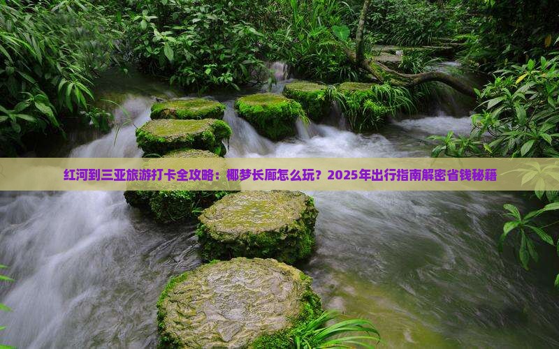红河出发三亚椰梦长廊旅游打卡点