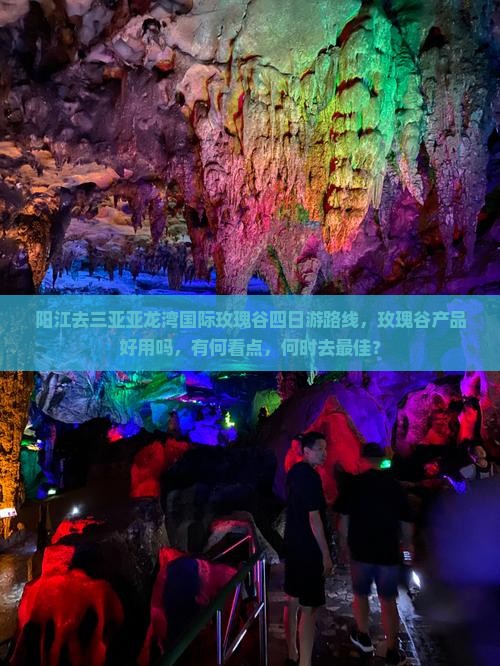 阳江去三亚亚龙湾国际玫瑰谷四日游
