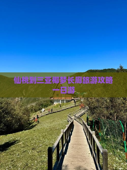 仙桃去三亚椰梦长廊一日游