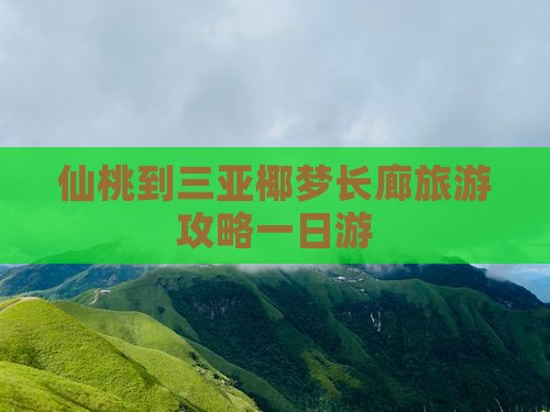 仙桃去三亚椰梦长廊一日游
