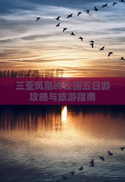 黔西南去三亚凤凰岭公园五日游