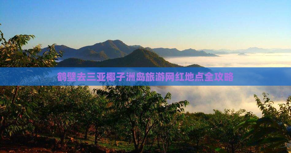 鹤壁去三亚椰子洲岛旅游网红地点