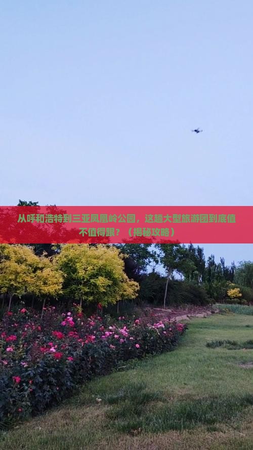 呼和浩特去三亚凤凰岭公园大型旅游团