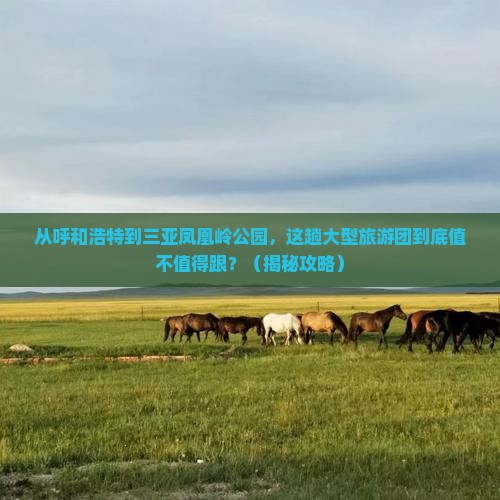 呼和浩特去三亚凤凰岭公园大型旅游团