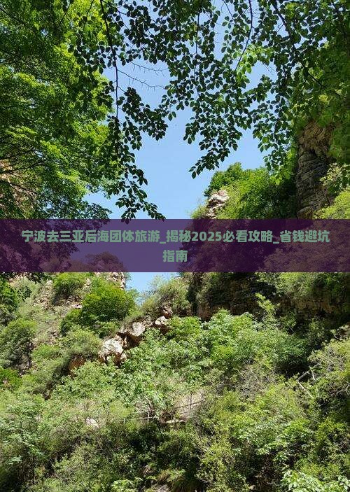 宁波去三亚后海团体旅游
