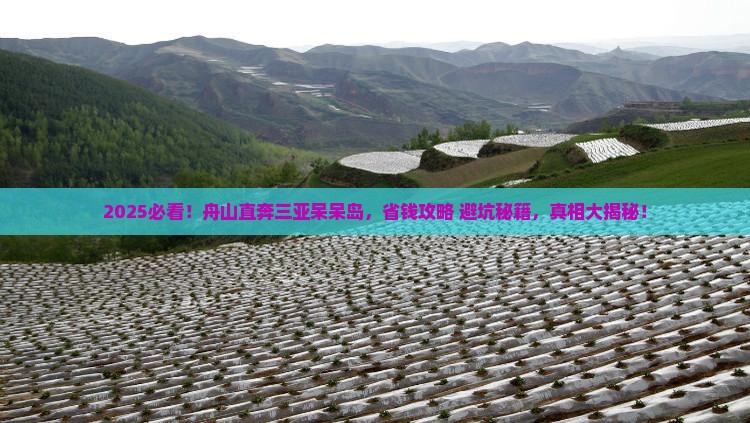 舟山前往三亚呆呆岛门票