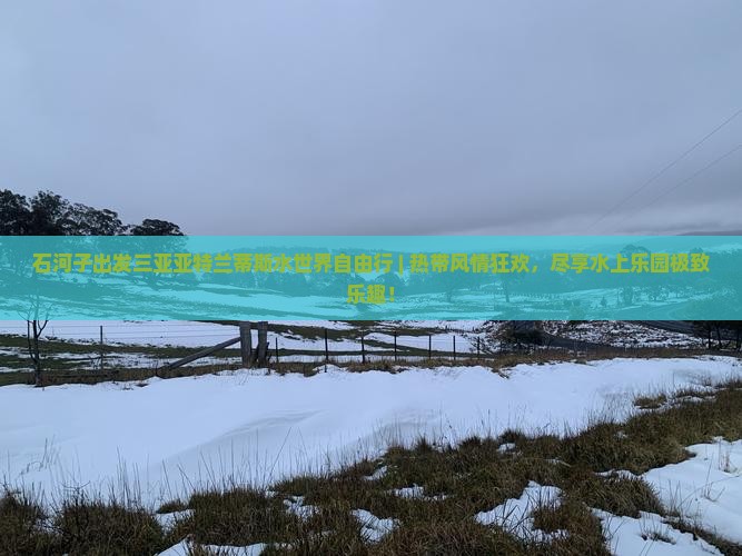 石河子出发三亚亚特兰蒂斯水世界自由行