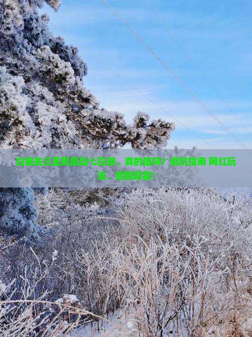 白银去三亚凤凰岛七日游