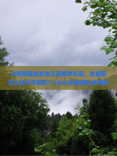 鄢陵县出发三亚椰梦长廊自由团