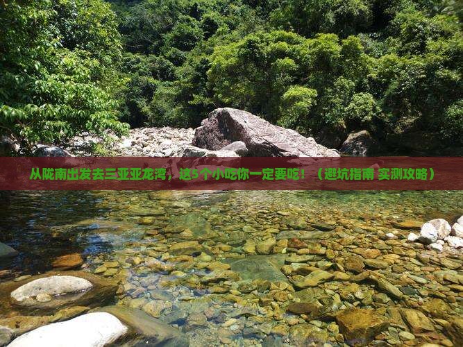 陇南出发三亚亚龙湾旅游小吃