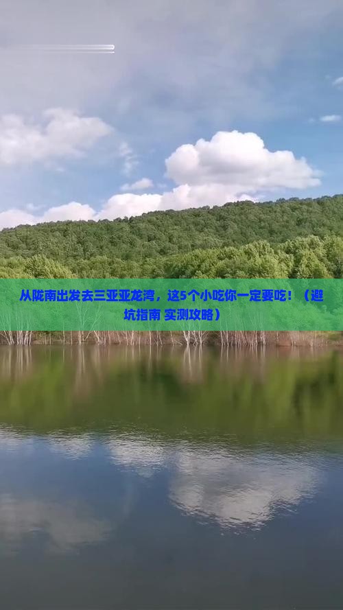 陇南出发三亚亚龙湾旅游小吃