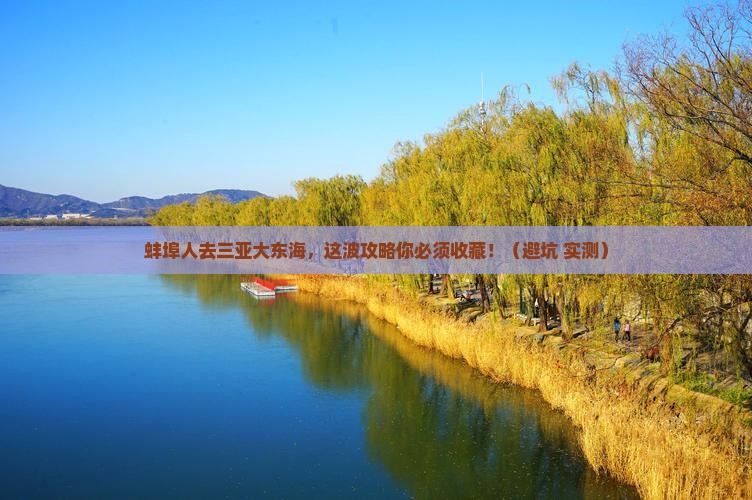 蚌埠去三亚大东海必玩地