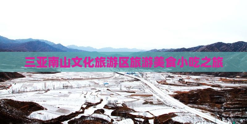 垦利出发三亚南山文化旅游区旅游小吃