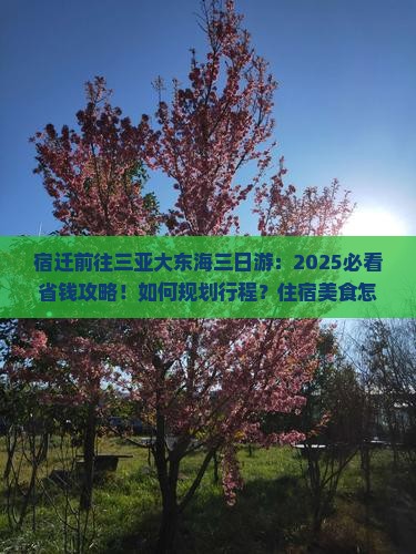 宿迁前往三亚大东海三日游