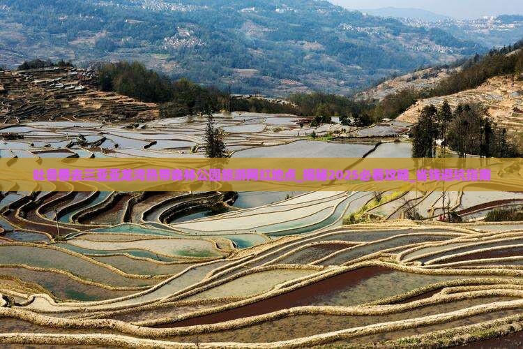吐鲁番去三亚亚龙湾热带森林公园旅游网红地点