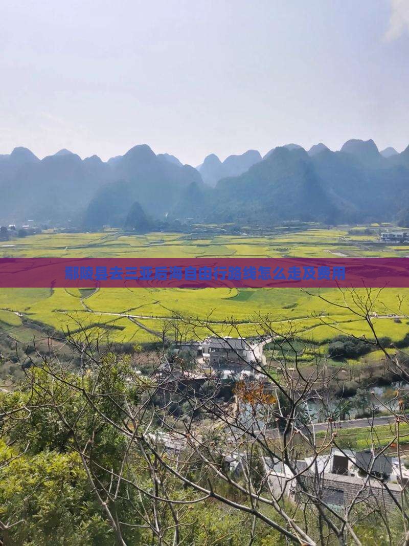 鄢陵县去三亚后海自由行