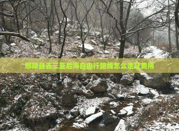 鄢陵县去三亚后海自由行