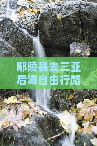 鄢陵县去三亚后海自由行
