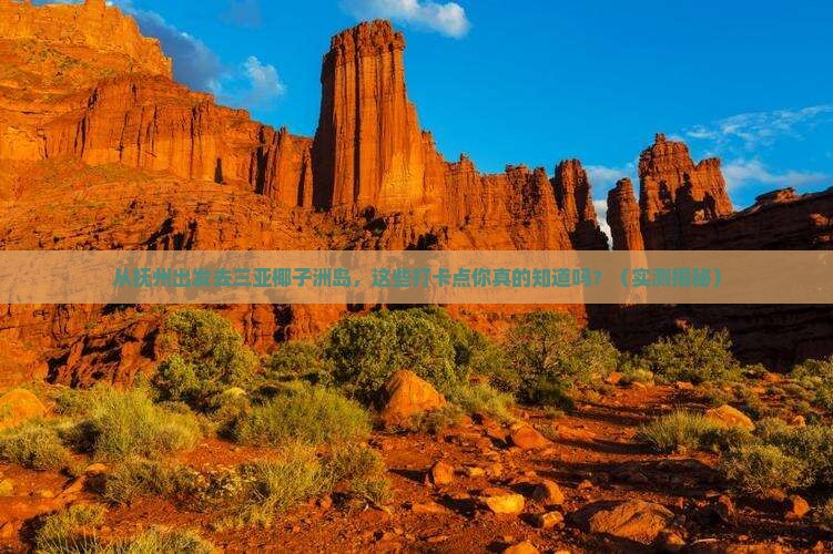 抚州出发三亚椰子洲岛旅游打卡点