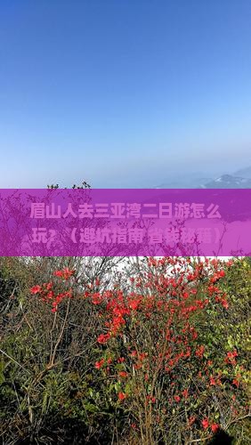 眉山去三亚三亚湾二日游