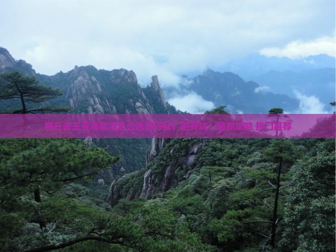 商丘前往三亚海棠湾旅行社