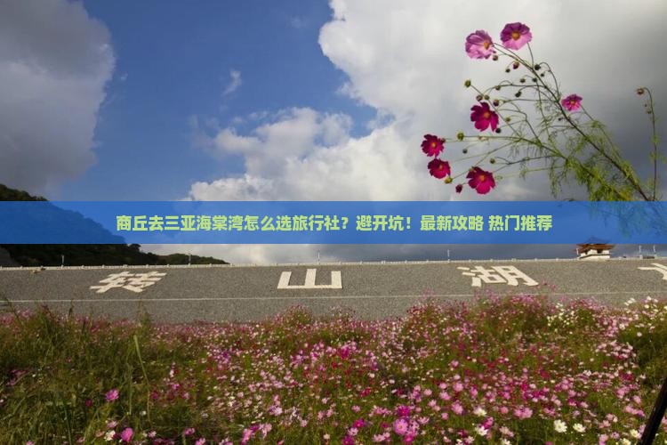 商丘前往三亚海棠湾旅行社